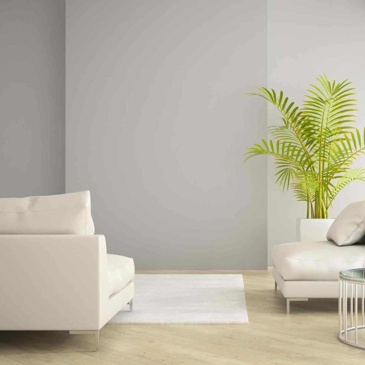 project-05 https://reformesjic.com/wp-content/uploads/2015/09/project-05-1280x1280.jpg